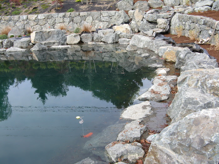 LLSI Leak Location Services Inc Geomembrane Survey Liner Integrity Survey ASTM Deep Water Surveys