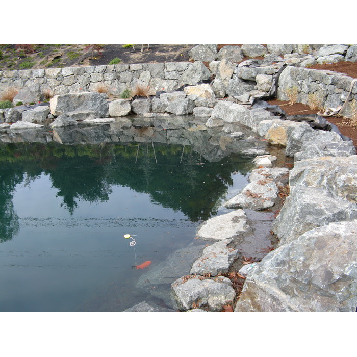 LLSI Leak Location Services Inc Geomembrane Survey Liner Integrity Survey ASTM Deep Water Surveys